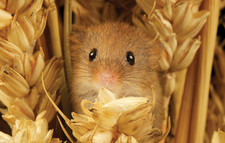 © Lead Image © Mark Bridger, 123RF.com © Lead Image © Mark Bridger, 123RF.com