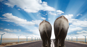 © Lead Image © Jakub Gojda, 123RF.com