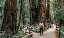 © Photo by Caleb Jones on Unsplash © Photo by Caleb Jones on Unsplash