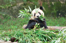 © Lead Image © Yang Chao, 123RF.com © Lead Image © Yang Chao, 123RF.com