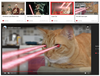 Figure 1: Of course, kitties shooting laser beams from their eyes is a thing on the Internet.