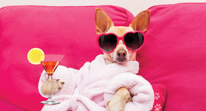 © Lead Image ©damedeeso, 123RF.com