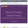 Figure 1: The Tor Browser is one of the simplest and most effective ways to preserve your online privacy.