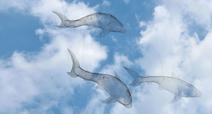 © Photo by Nathaniel Shuman on Unsplash