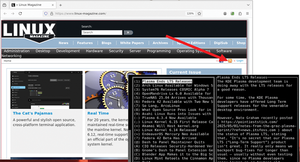 Figure 1: The Linux Magazine site features the RSS symbol, and therefore users can receive their updates using a newsreader. In this picture, you can see the CAST-text terminal-based reader in action.