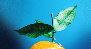 © Photo by Madalina Batlan on Unsplash