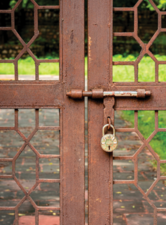 © Photo by Zoshua Colah on Unsplash