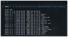 Figure 4: Gemini CLI can also run Linux commands just like a native terminal.