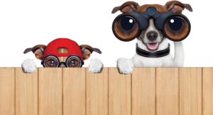 © Lead Image © damedeeso, 123RF.com