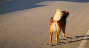 © Lead Image © oporty, 123RF.com