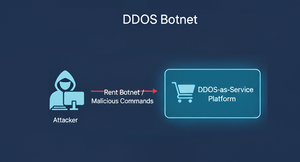 Figure 1: The DDoS botnet infrastructure.