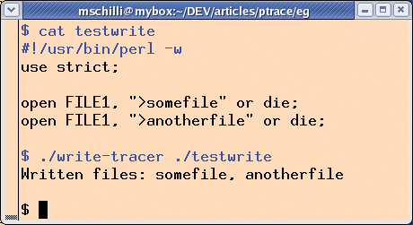 Help with dissertation writing vim
