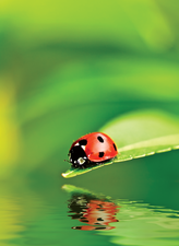© Stuart Monk, Fotolia © Stuart Monk, Fotolia