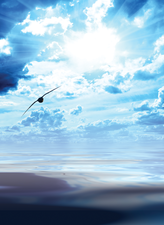 © Iakov Kalinin, Fotolia © Iakov Kalinin, Fotolia