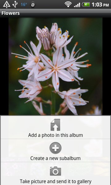 Manage Your Photo Gallery from Android Using R... » Linux Magazine